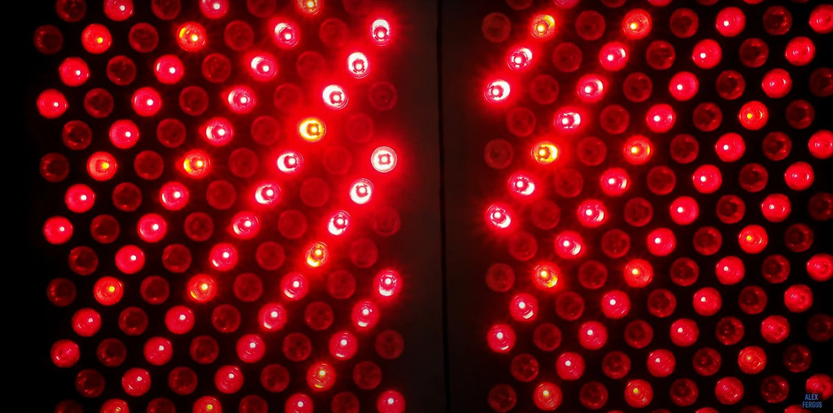 Close-up of red and unlit LED lenses on a light panel.